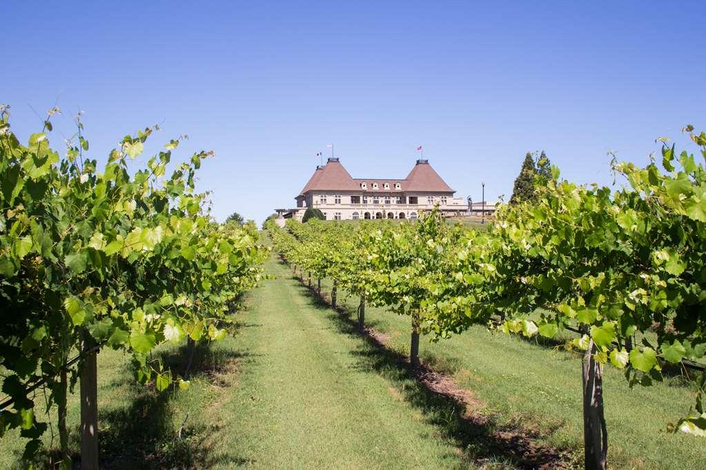 Chateau Elan Winery Braselton Exteriér fotografie