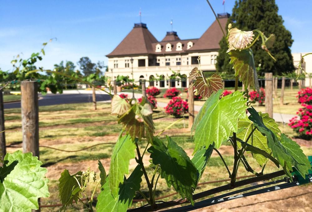 Chateau Elan Winery Braselton Exteriér fotografie